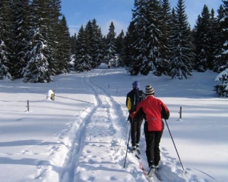  Excursión de esquí de fondo Avoriaz 